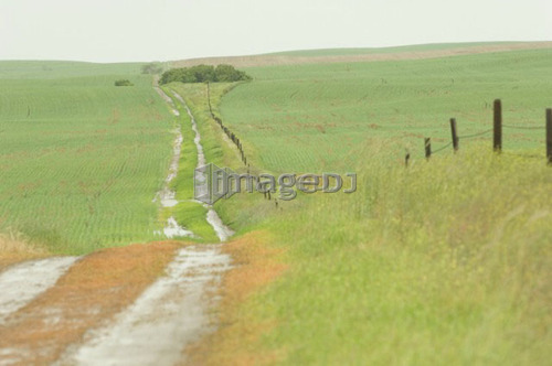 Wet rural trail between fields; Canada, Alberta, Red Deer