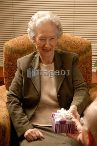 Senior Woman in Armchair; Canada, Saskatchewan, Regina