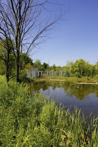 Wetlands, Canada, Ontario, Campbellville