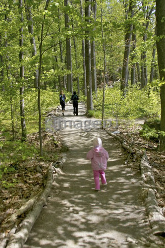 People walking down a pathway in the woods, Canada, Ontario, Dundas