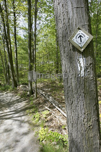 Marker for the Bruce trail posted on a tree trunk in the woods, Canada, Ontario, Dundas