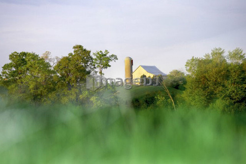Barn off in the distance, Canada, Ontario, Jerseyville