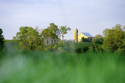 Barn off in the distance, Canada, Ontario, Jerseyville
