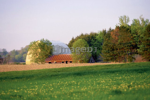 Barn in a field, Canada, Ontario, Jerseyville