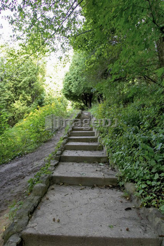 Stone staircase surrounded by greenery, Canada, Ontario, Dundas