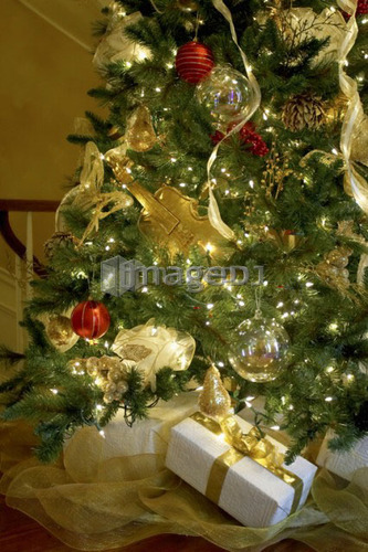 Presents under a Christmas tree, Canada, Ontario