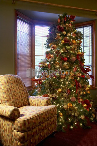 Decorated Christmas tree nestled by the window next to an armchair, Canada, Ontario
