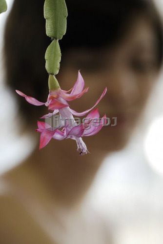 Cactus flower in foreground, young woman blurred in background, Canada, Manitoba, Brandon