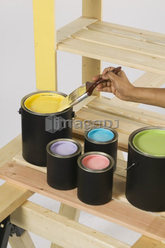 African American Woman Doing Home Improvement Painting, Canada, British Columbia