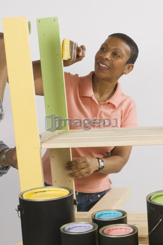 African American Couple Doing Home Improvement Painting, Canada, British Columbia
