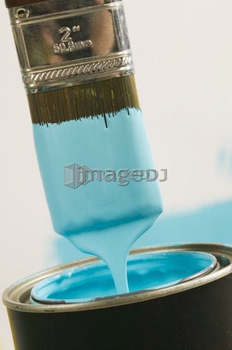 Small paint brush dipped in paint, Canada, British Columbia
