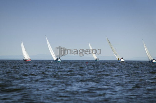 Sail racing, West Vancouver Yacht Club, West Vancouver, BC Canada