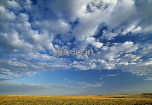 Rangeland and sky near Milk River, Alberta, Canada