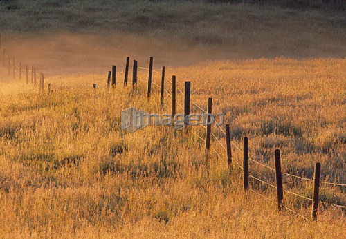 Fence in Pasture near Cochrane, Alberta, Canada