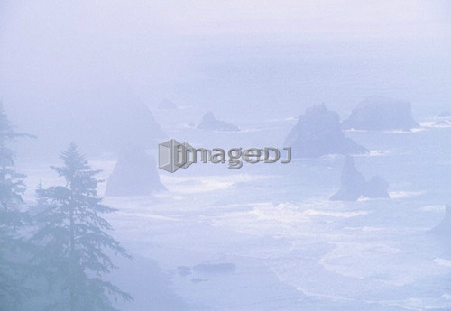Sea stacks along the Pacific Coast, Samuel H. Boardman State Park, Oregon Coast, Oregon USA
