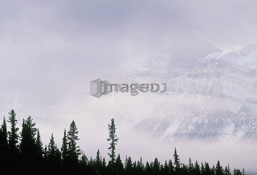 Mt. Chephren, Banff National Park, Alberta, Canada