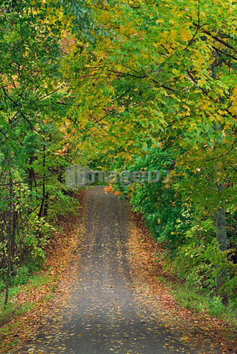 Lawler Road - Pelham, Ontario, Canada