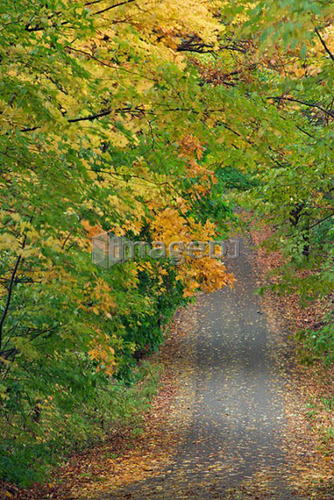 Lawler Road - Pelham, Ontario, Canada