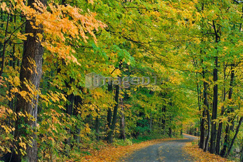 Sulphur Spring Road - Pelham, Ontario, Canada
