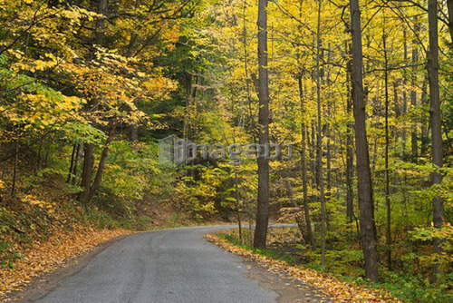 Sulphur Spring Drive - Twelve Mile Creek - Pelham, Ontario, Canada