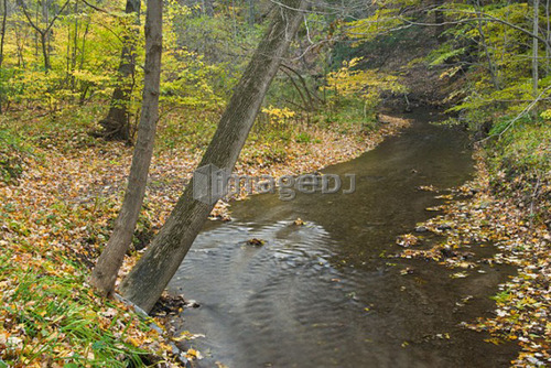 Twelve Mile Creek - Pelham, Ontario, Canada