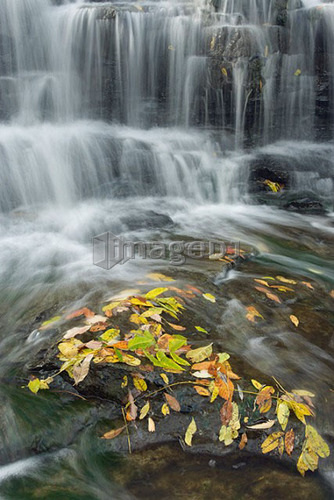 Fifteen mile Creek and Martins Falls - Rockway, Ontario, Canda