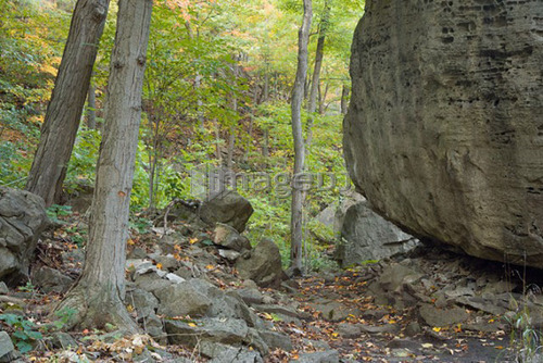 Niagara Glen Nature Reserve - Niagara Falls Ontario, Canada