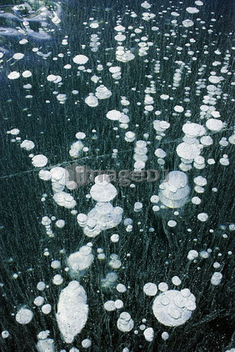 Ice Bubbles in ice on Ghost Dam - Alberta Canada