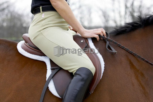 Detail of equestrian rider sitting on a horse (Equus caballus)