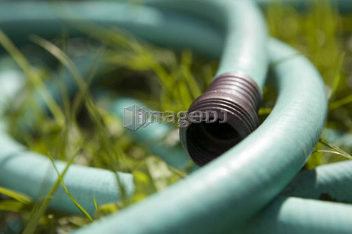Garden hose, Cypress Street Community Garden, Vancouver, BC