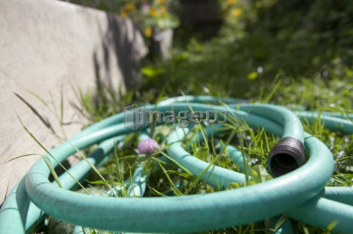 Garden hose, Cypress Street Community Garden, Vancouver, BC