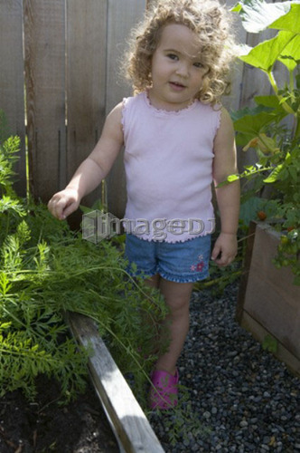 Child (female 2.5 years) standing in garden, North Vancouver, BC