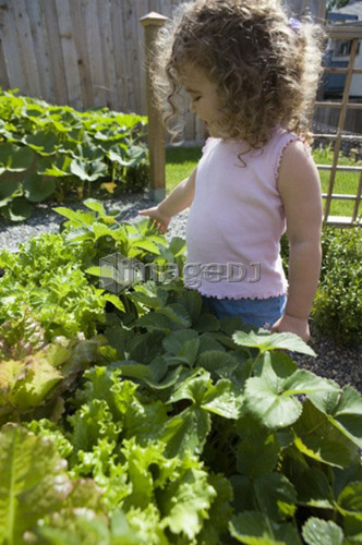Child (female 2.5 years) stands in garden, North Vancouver, BC