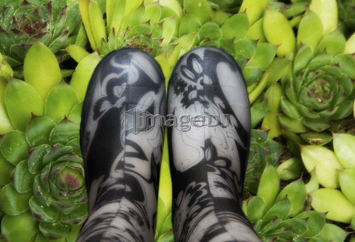 Rain boots and hen & chicks plants