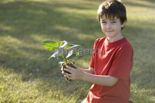 Six year old boy holding plant, Assiniboine Park, Winnipeg, Canada
