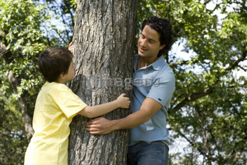 Six year old boy and father hugging tree, Assiniboine Park, Winnipeg, Canada