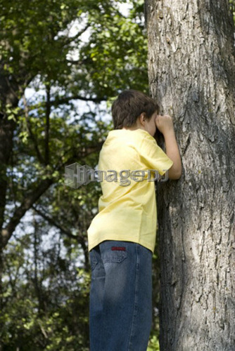 Six year old boy plays hide and seek beside large tree, Assiniboine Park, Winnipeg, Canada