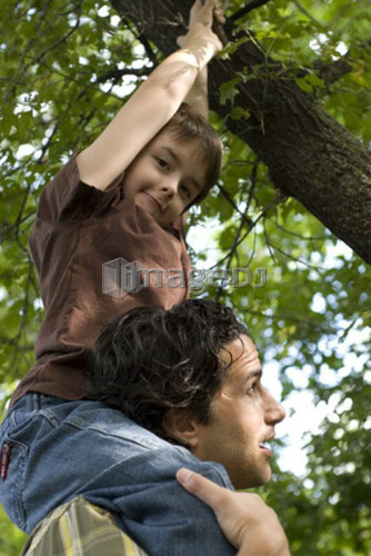 Young boy on shoulders of father grabs branches above, Assiniboine Park, Winnipeg, Canada