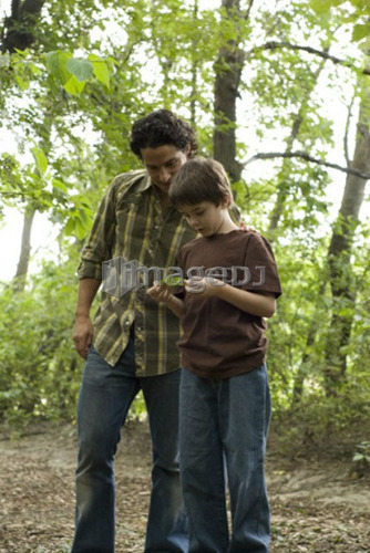 Young boy and father in woods look at leaf, Assiniboine Park, Winnipeg, Canada