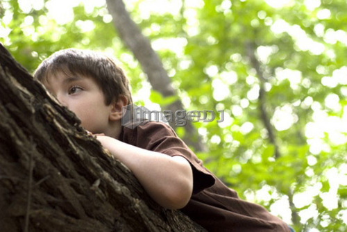 Six year old boy lying on half fallen log in woods, Assiniboine Park, Winnipeg, Canada