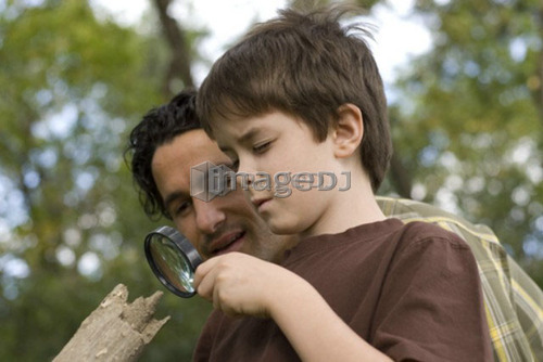 Six year old boy and father look through magnifying glass at rooting log, Assiniboine Park, Winnipeg, Canada
