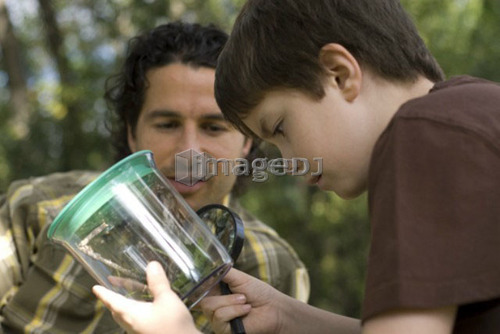 Six year old boy with father, looking at insect in collecting jar, Assiniboine Park, Winnipeg, Canada