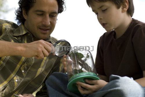 Father and son looking at insect in collection jar, Assiniboine Park, Winnipeg, Canada