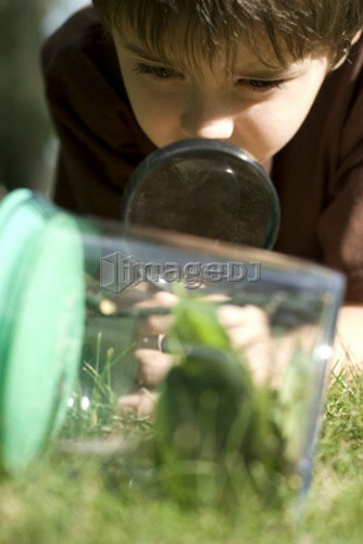 Six year old boy looking at collecting jar through magnifying glass, Assiniboine Park, Winnipeg, Canada