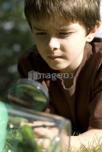Six year old boy looking at collecting jar through magnifying glass, Assiniboine Park, Winnipeg, Canada