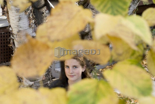 Teen girl seen through autumn leaves on tree, Winnipeg, Canada