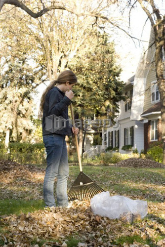 Teen girl raking leaves for recycling, Canada