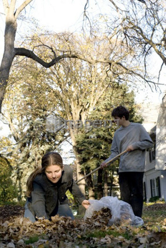 Teen brother and sister raking, Winnipeg, Canada