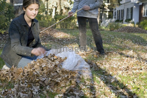 Teen brother and sister raking, Winnipeg, Canada