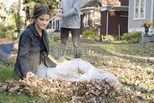 Teen brother and sister raking, Winnipeg, Canada